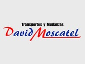 Transportes y Mudanzas David Moscatel