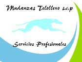 Logo Mudanzas Telollevo