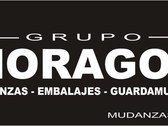 Logo Mudanzas Grupo Moragón