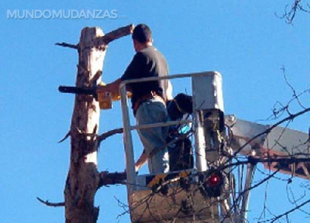 Grúa con cesta