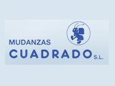 Mudanzas Cuadrado