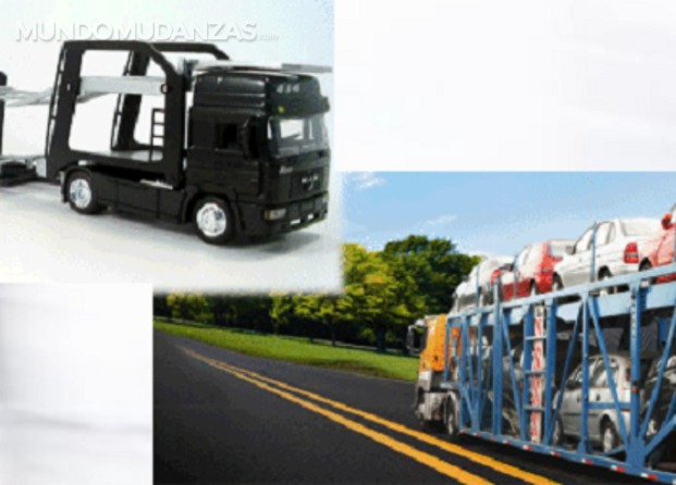 Mgs International Routes