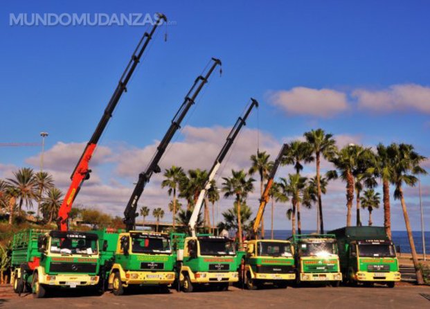 Camiones con grúas de diferentes alturas