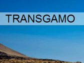 Transgamo