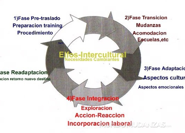 Estudios Y Logística Elfos Barcelona