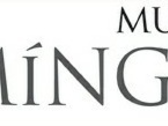 Mudanzas Domínguez