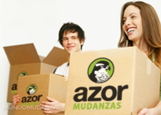 Cajas de Mudanzas